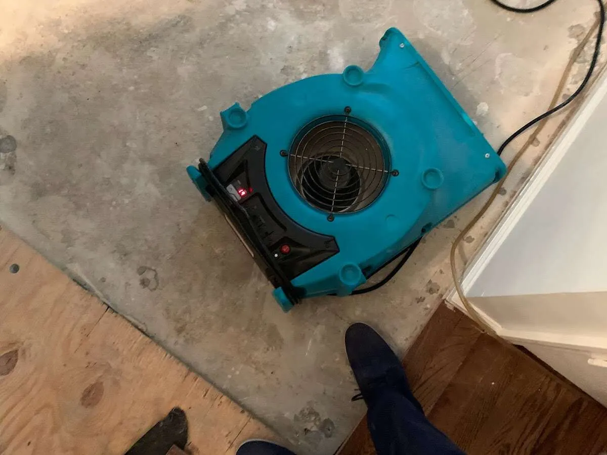 Air mover drying subfloor during Leak Detection & Repair in Harrington Park